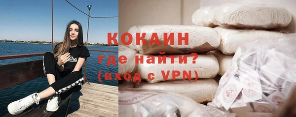 винт Пересвет