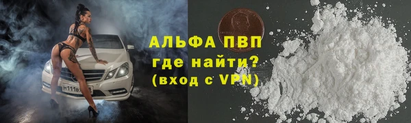 винт Пересвет