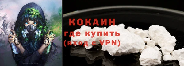 соль ск Пестово