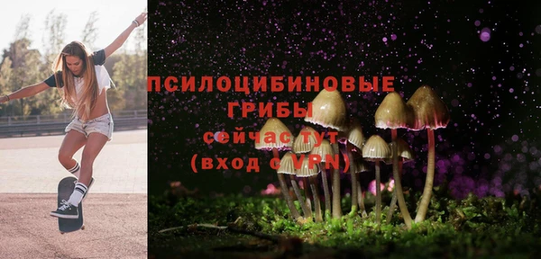 соль ск Пестово