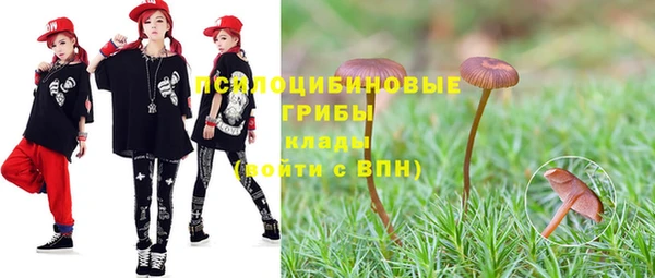 соль ск Пестово