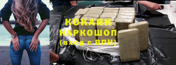 винт Пересвет