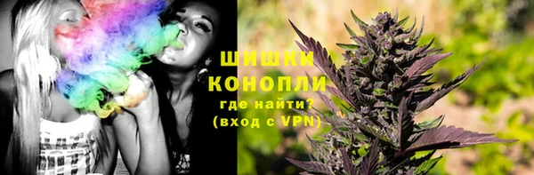 соль ск Пестово