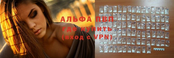 винт Пересвет