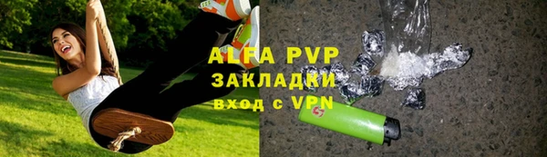 винт Пересвет