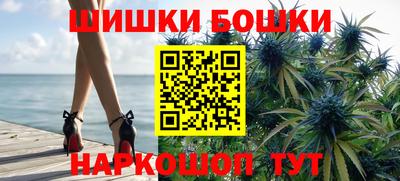 стафф Гатчина