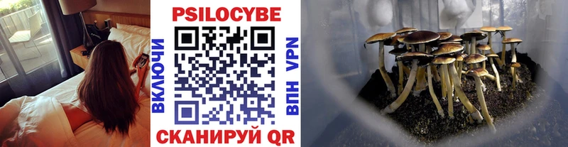 Псилоцибиновые грибы Psilocybine cubensis  закладка  Алейск 