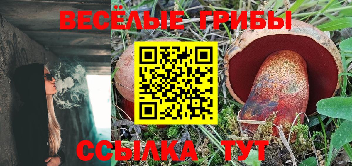 Псилоцибиновые грибы мицелий  Галлюциногенные грибы прущие грибы  Алейск 