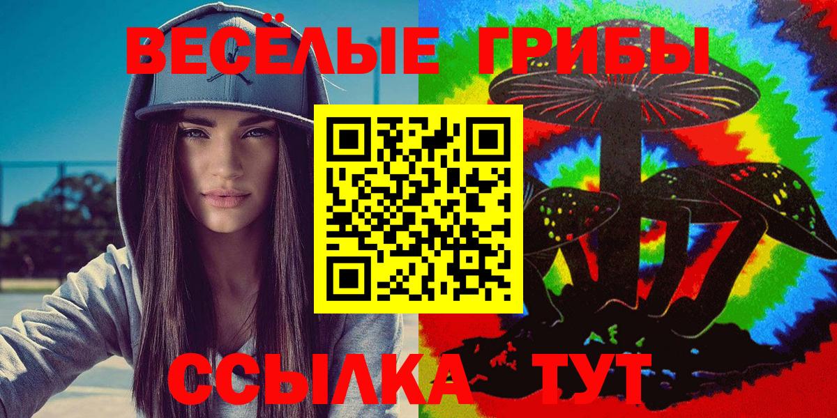 Псилоцибиновые грибы GOLDEN TEACHER Алейск