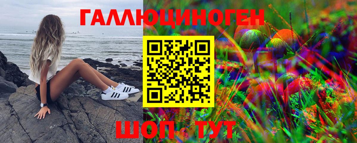 Псилоцибиновые грибы MAGIC MUSHROOMS  Вход с VPN  Алейск 