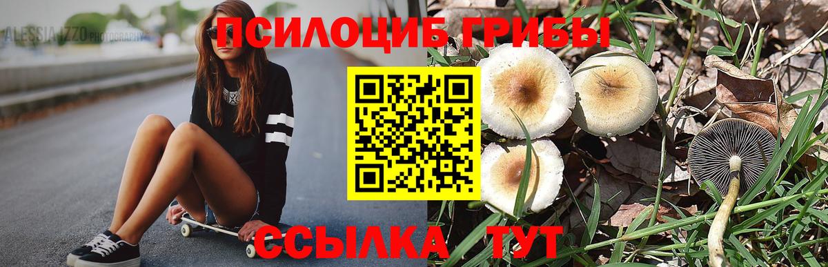 Псилоцибиновые грибы Magic Shrooms  Галлюциногенные грибы ЛСД  Алейск  Вход с VPN 