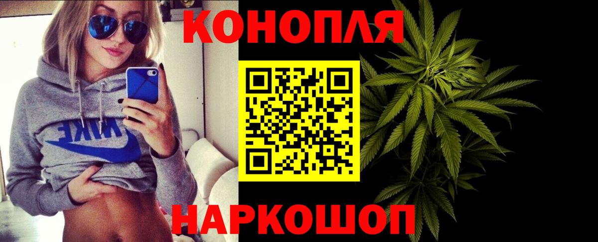 МАРИХУАНА конопля Алейск
